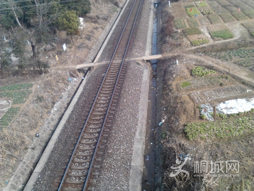 Camera_20130126_105828_.jpg