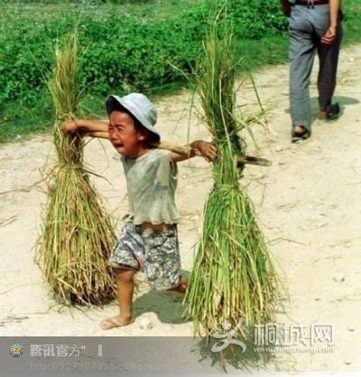 ������   ��Ҳ���   ��������.jpg