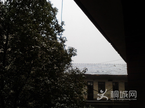 Camera_20130207_171325_.jpg