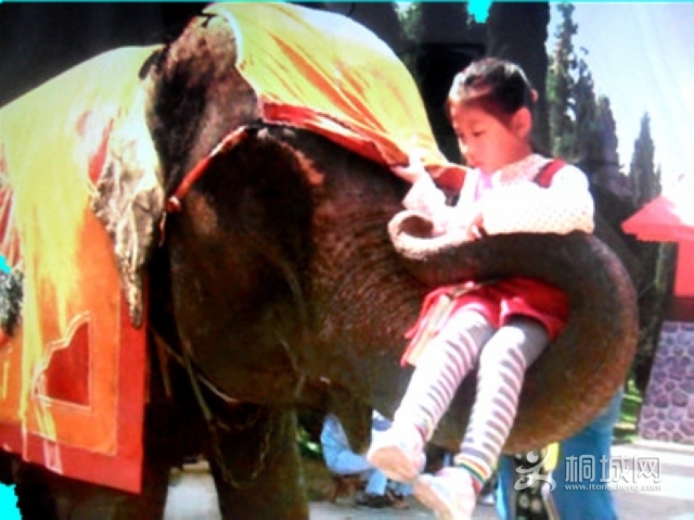 ������СŮ��