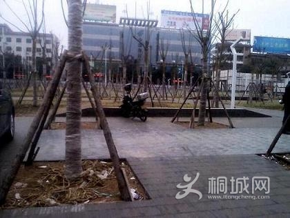 YP20130206090650.jpg