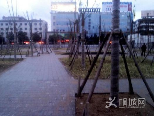YP20130205173603.jpg