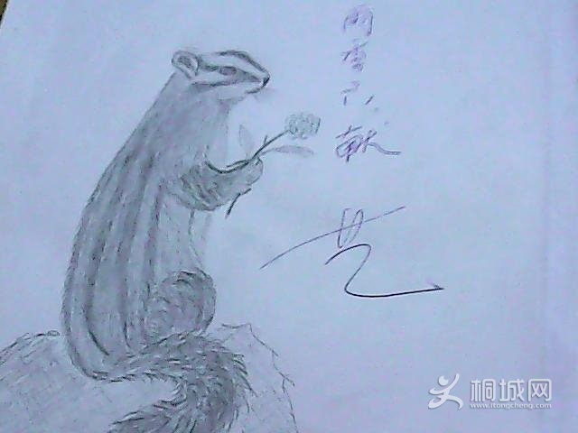 ͼƬ 011.jpg