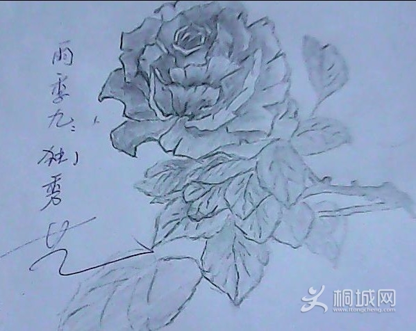 ~R6~1E5O]W7T0T_EBXLW@)M.jpg