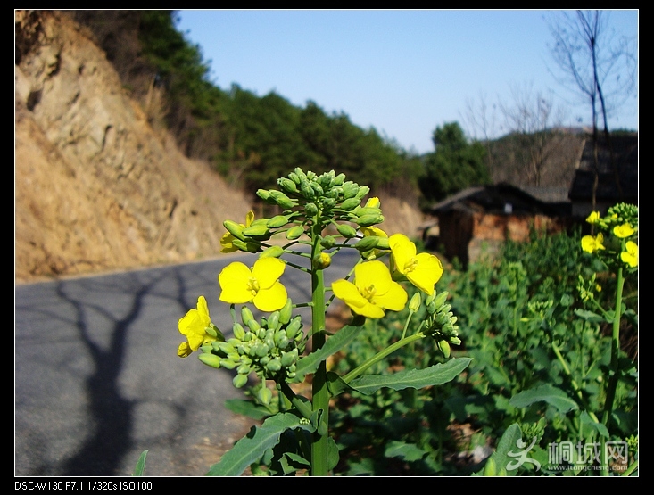 nEO_IMG_DSC03615.jpg