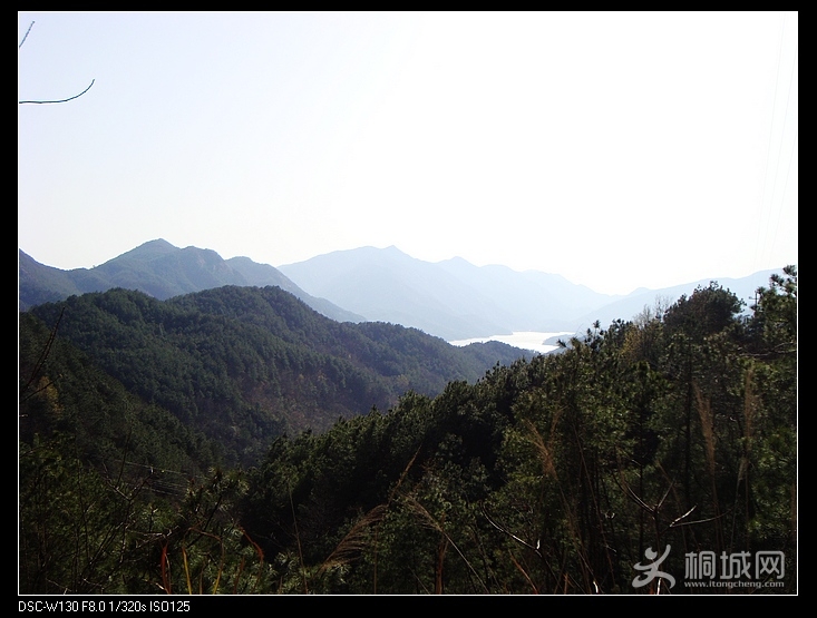 nEO_IMG_DSC03617.jpg