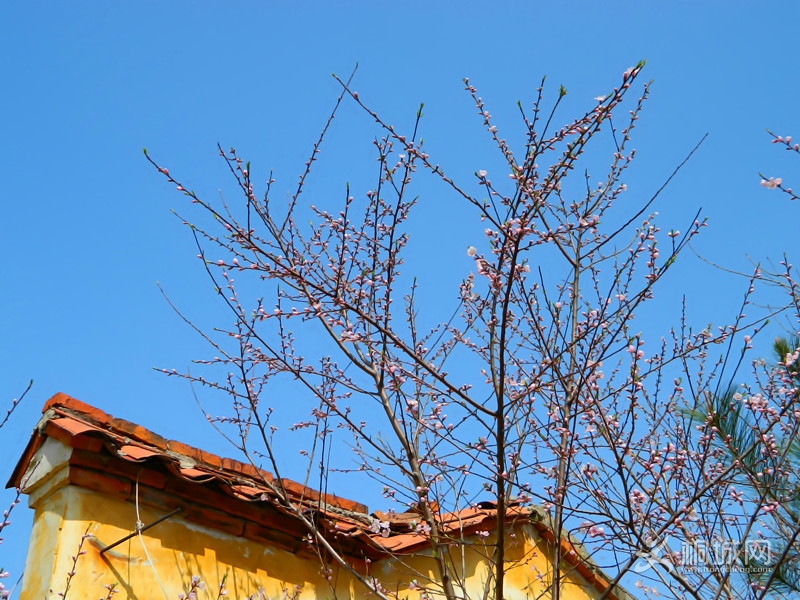 315 026_����.jpg