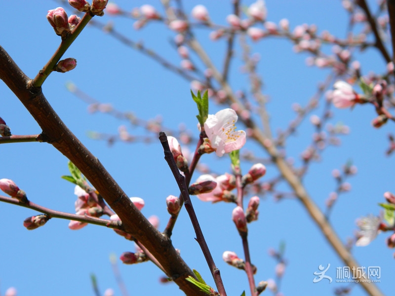 315 027_����.jpg