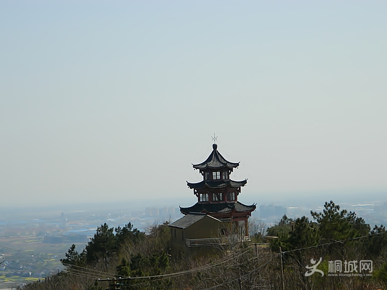 315 043_����.jpg