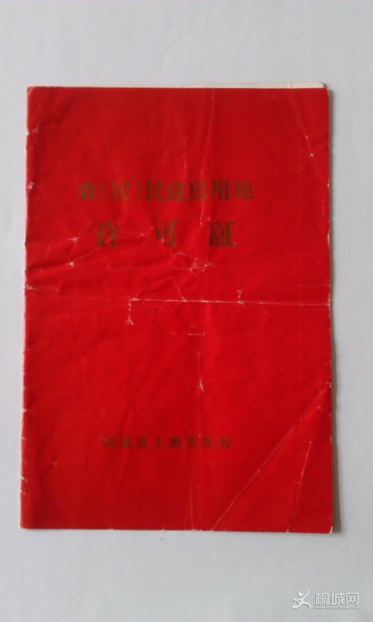photo_org.jpg