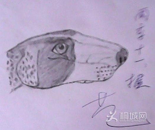 EW][RXM}FISRSN3CR8XU_Y8.jpg