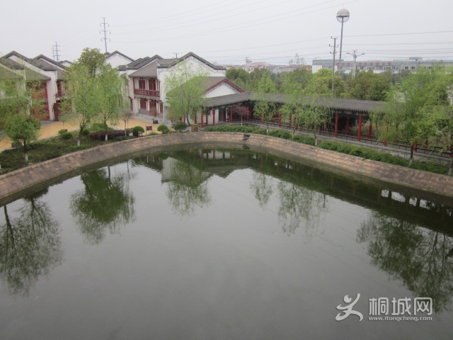 IMG_2200.jpg