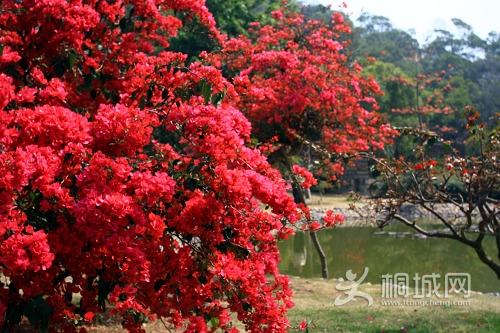 ÷���� ֮ʮ.jpg