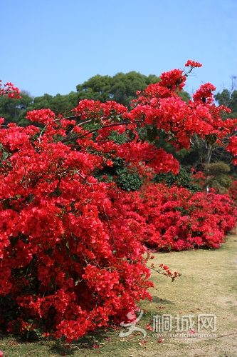 ÷���� ֮ʮ��.jpg