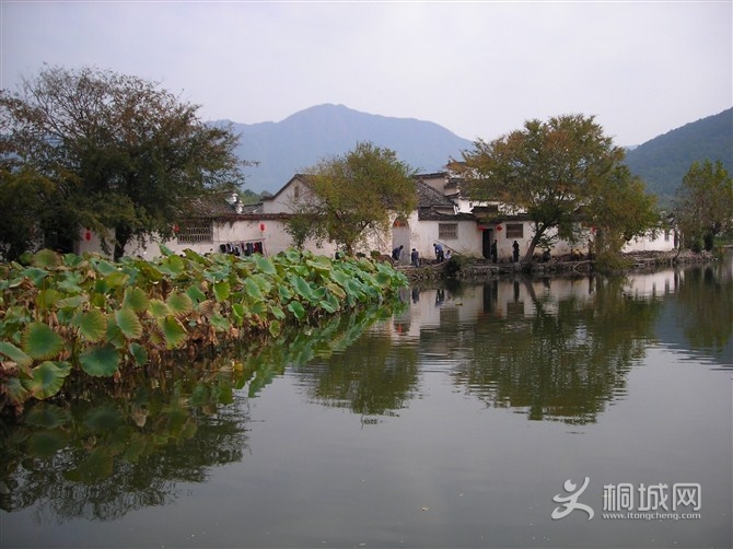 ͩ����-�羰���续�ĺ��ӡ��