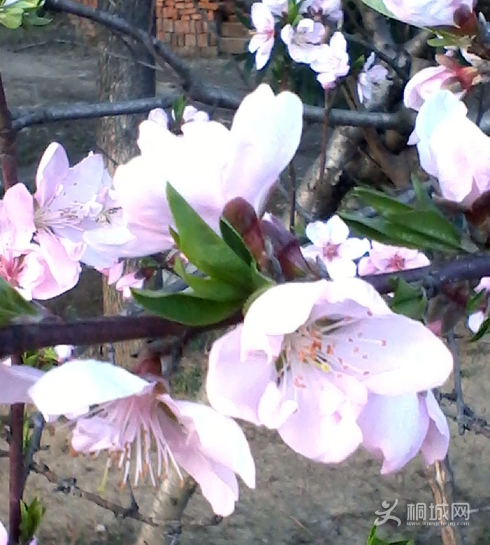 IMG_20130314_180153.jpg