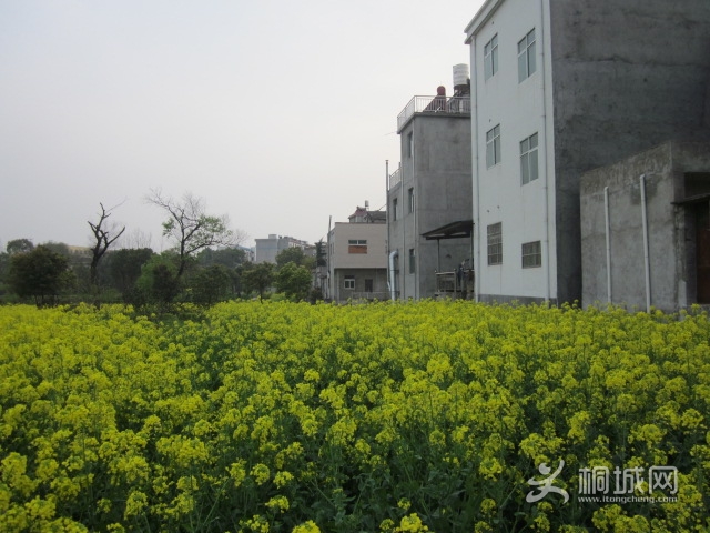 �������� 008.jpg