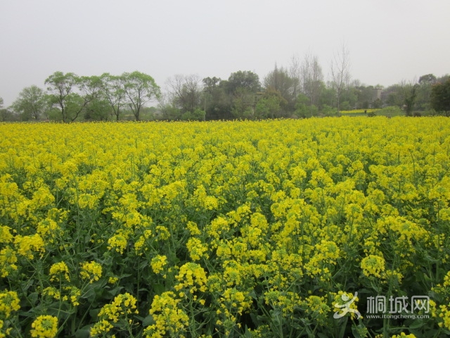 ������2 005.jpg