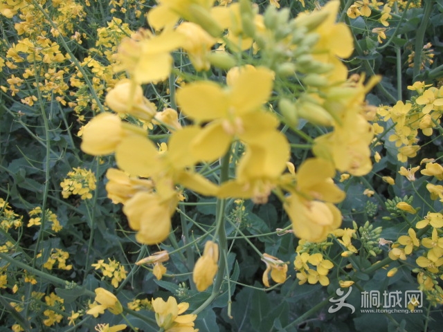 ������2 007.jpg