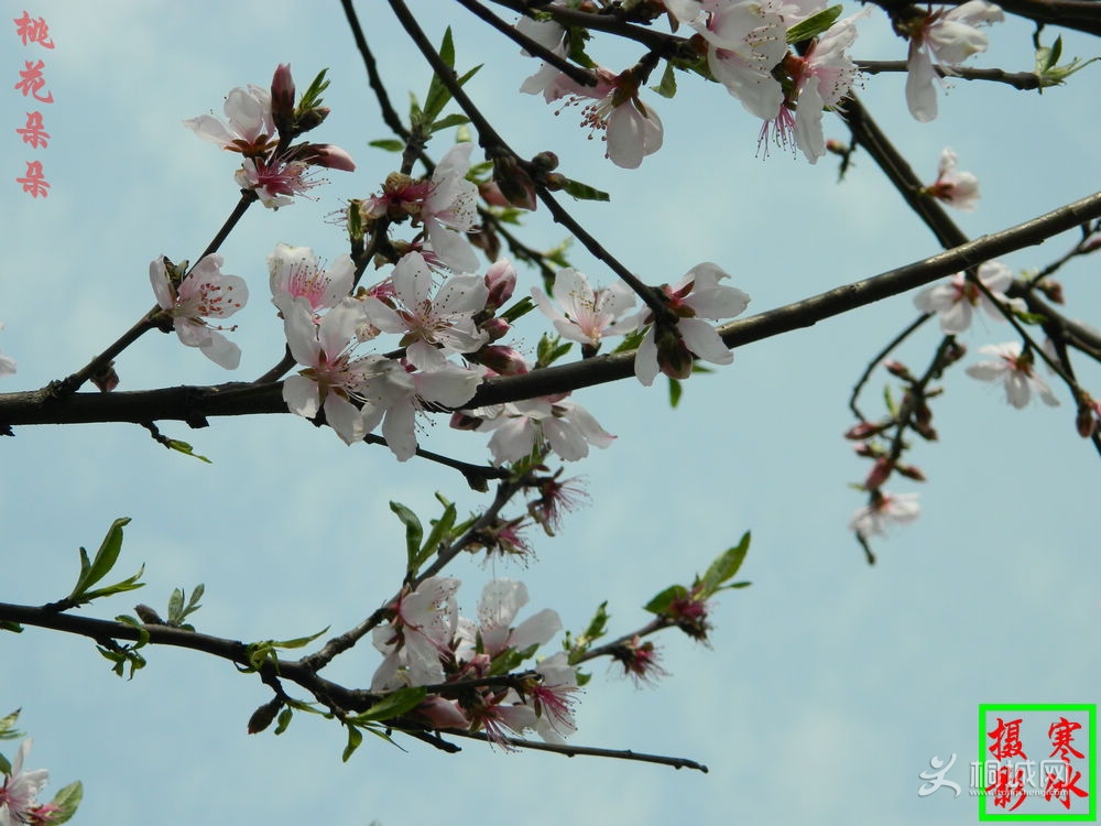 ��Ƭ 001_����.jpg