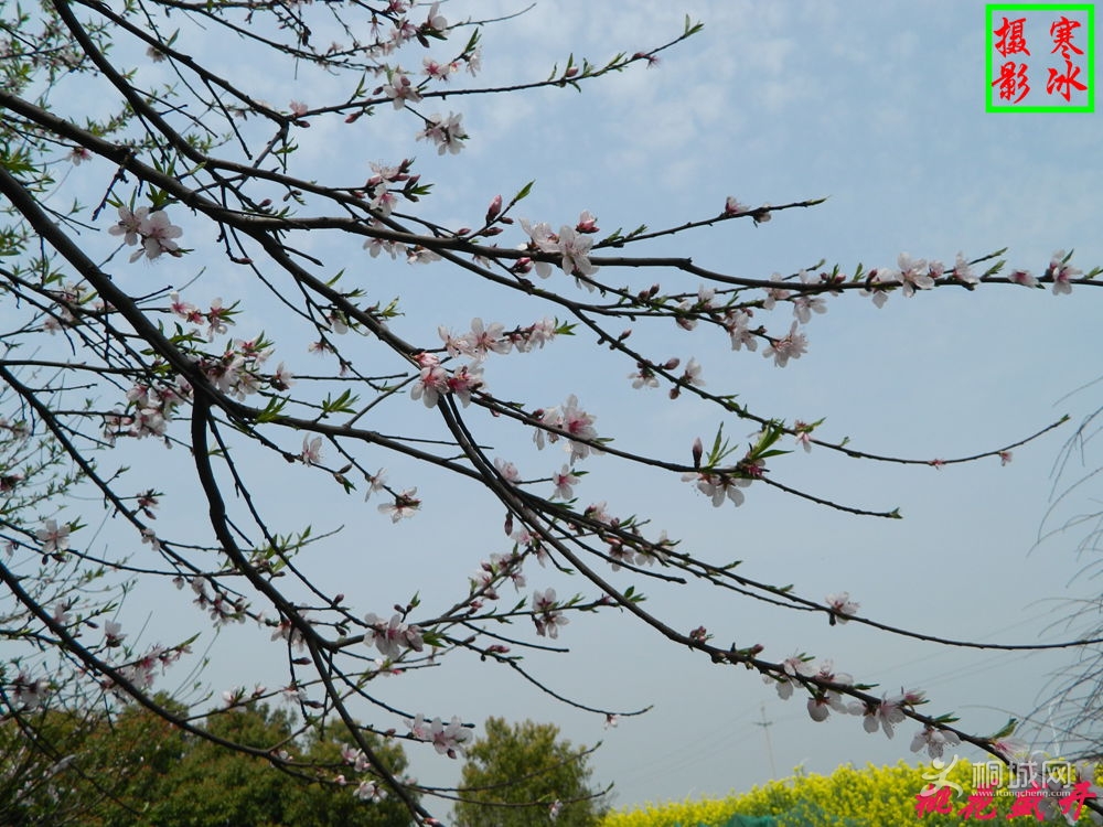 ��Ƭ 002_����.jpg