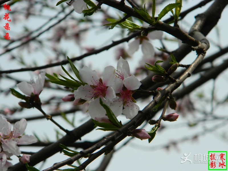 ��Ƭ 003_����.jpg