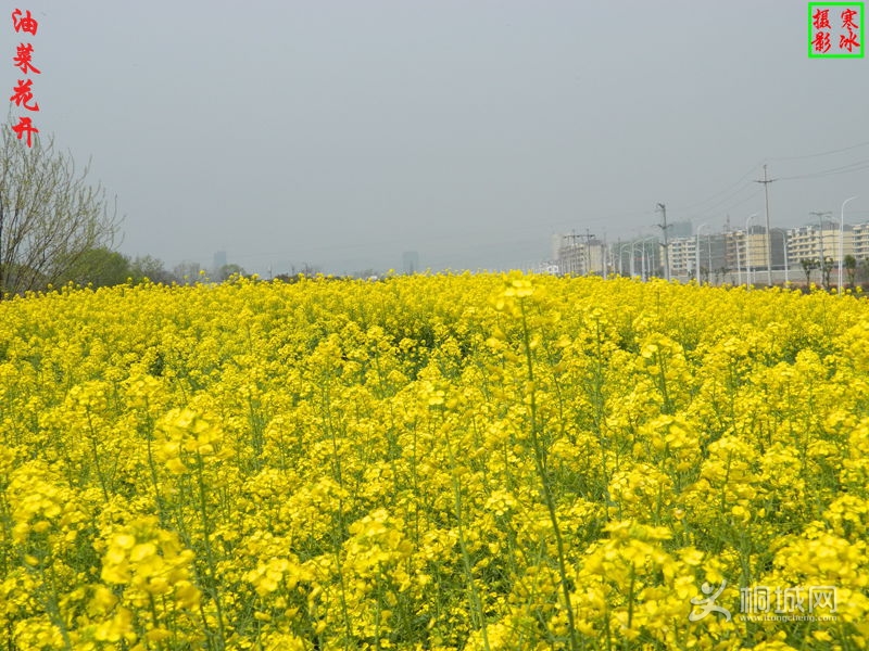 ��Ƭ 004_����.jpg