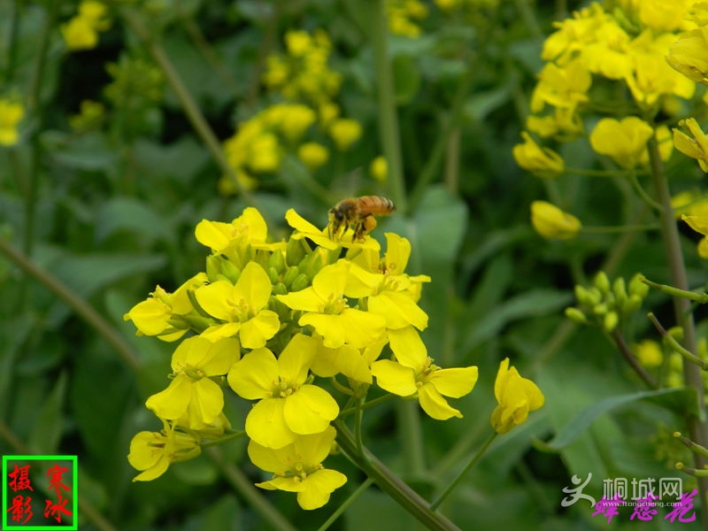 ��Ƭ 008_����.jpg