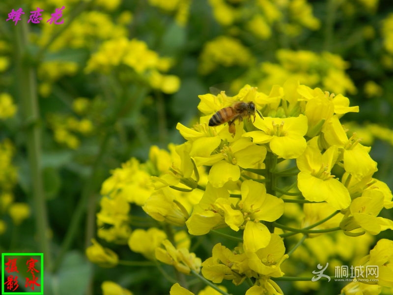 ��Ƭ 010_����.jpg