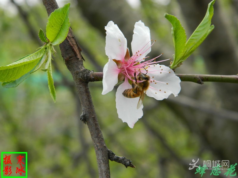 ��Ƭ 013_����.jpg