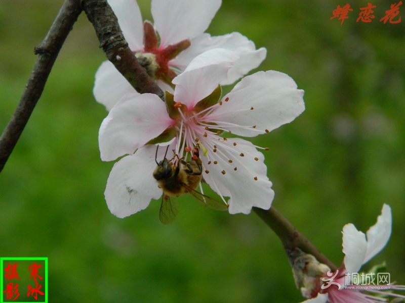 ��Ƭ 017_����.jpg