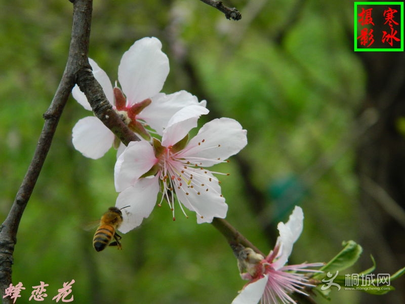 ��Ƭ 012_����.jpg