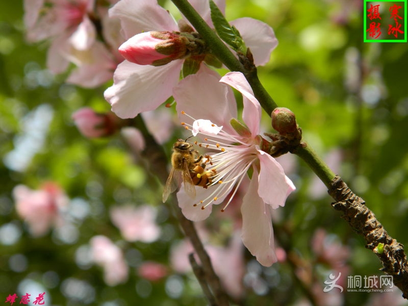 ��Ƭ 031_����.jpg