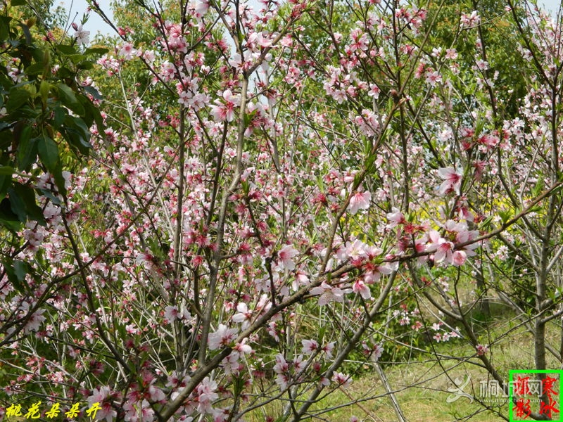 ��Ƭ 032_����.jpg