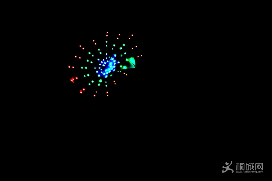 DSC03989.jpg