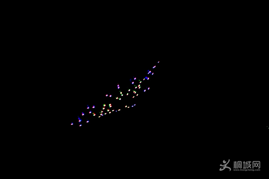 DSC04013.jpg
