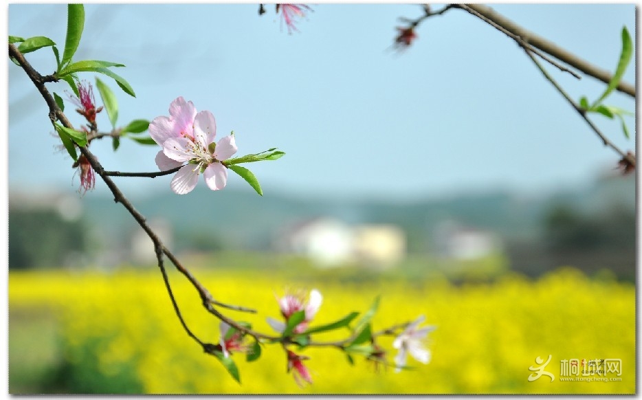 �����ӽ� (2).jpg