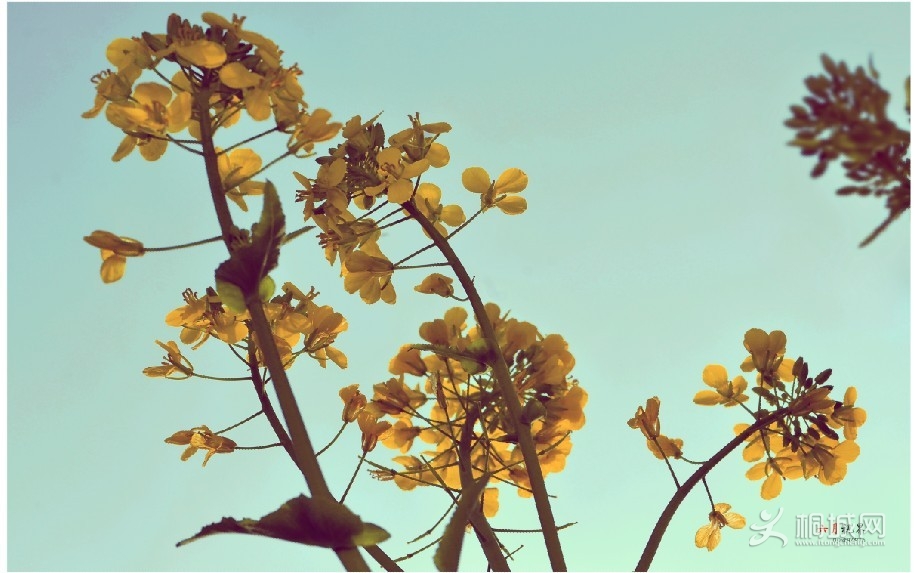 �����ӽ� (4).jpg