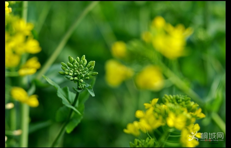 �����ӽ� (5).jpg