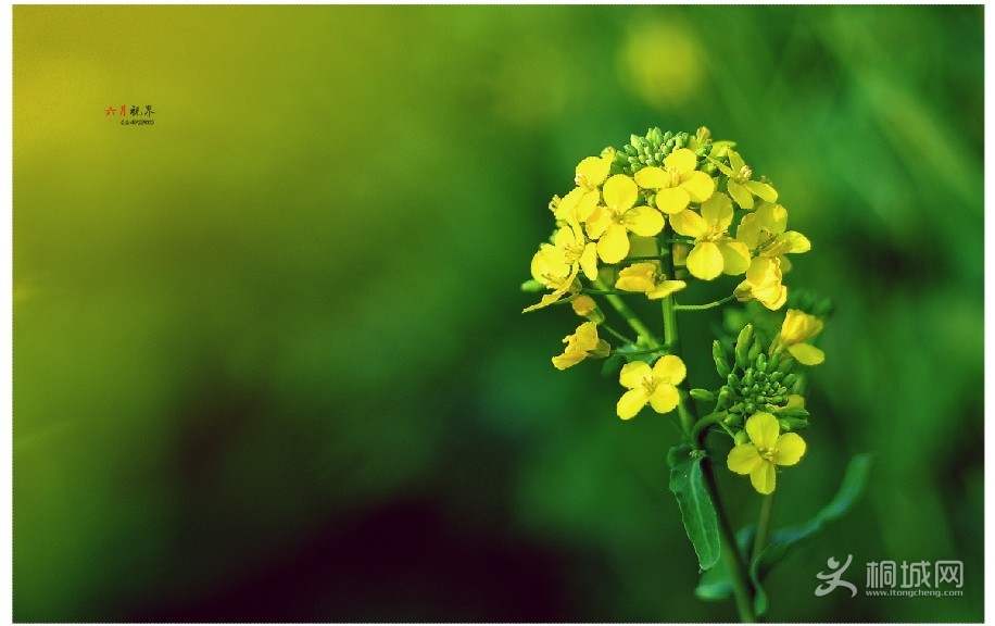 �����ӽ� (6).jpg