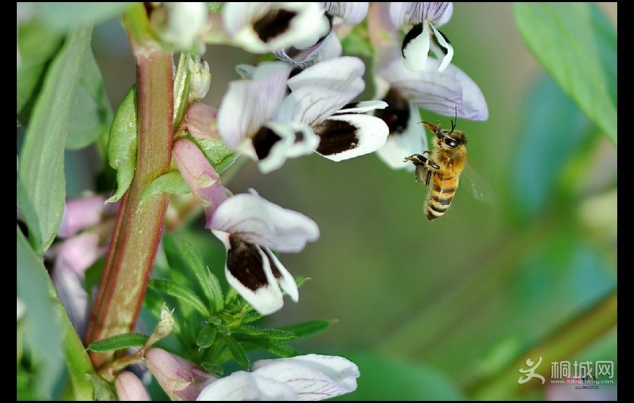 �����ӽ� (8).jpg