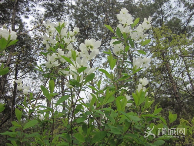 �����ߴ������ز賧 036.jpg