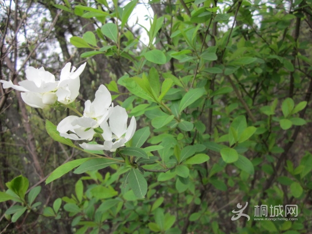 �����ߴ������ز賧 035.jpg