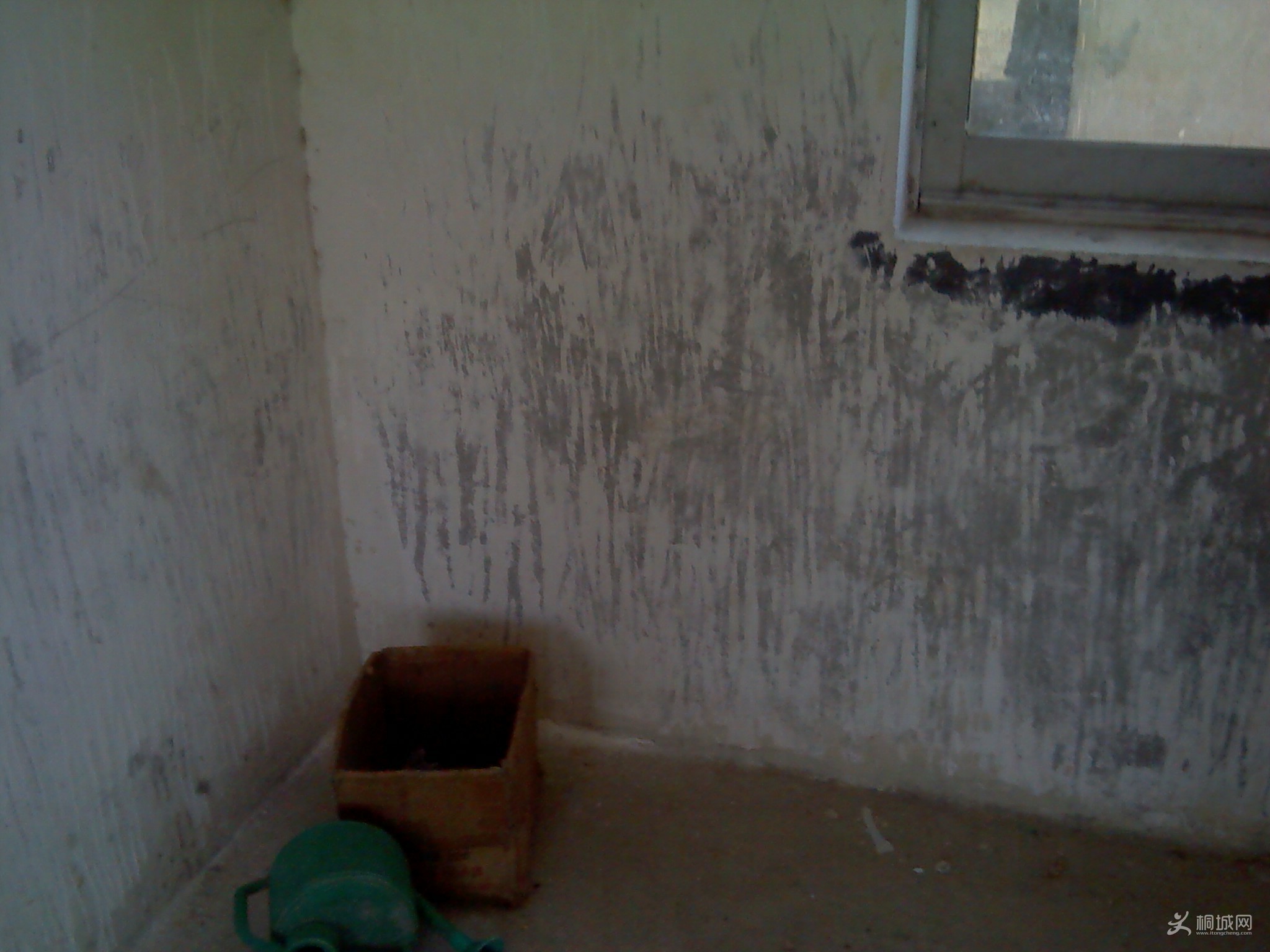 IMG_20130413_093056.jpg