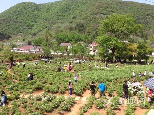 ���ɽĵ��԰