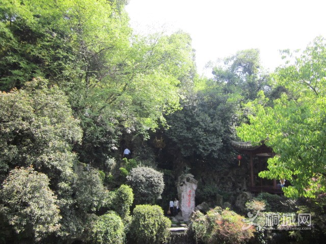 IMG_3474.JPG