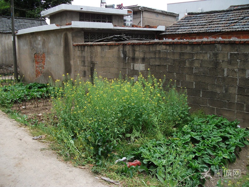 DSCF1222_.jpg
