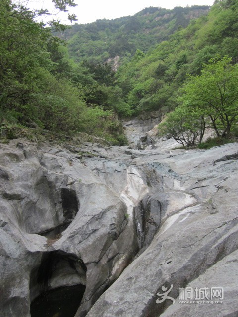 IMG_3547.JPG