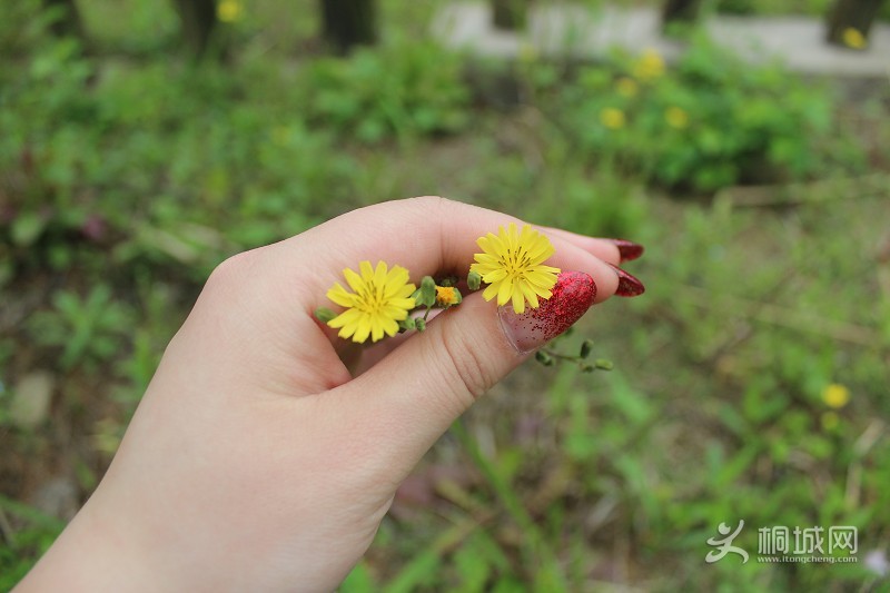 �Լ�������-��ɽ���˹�