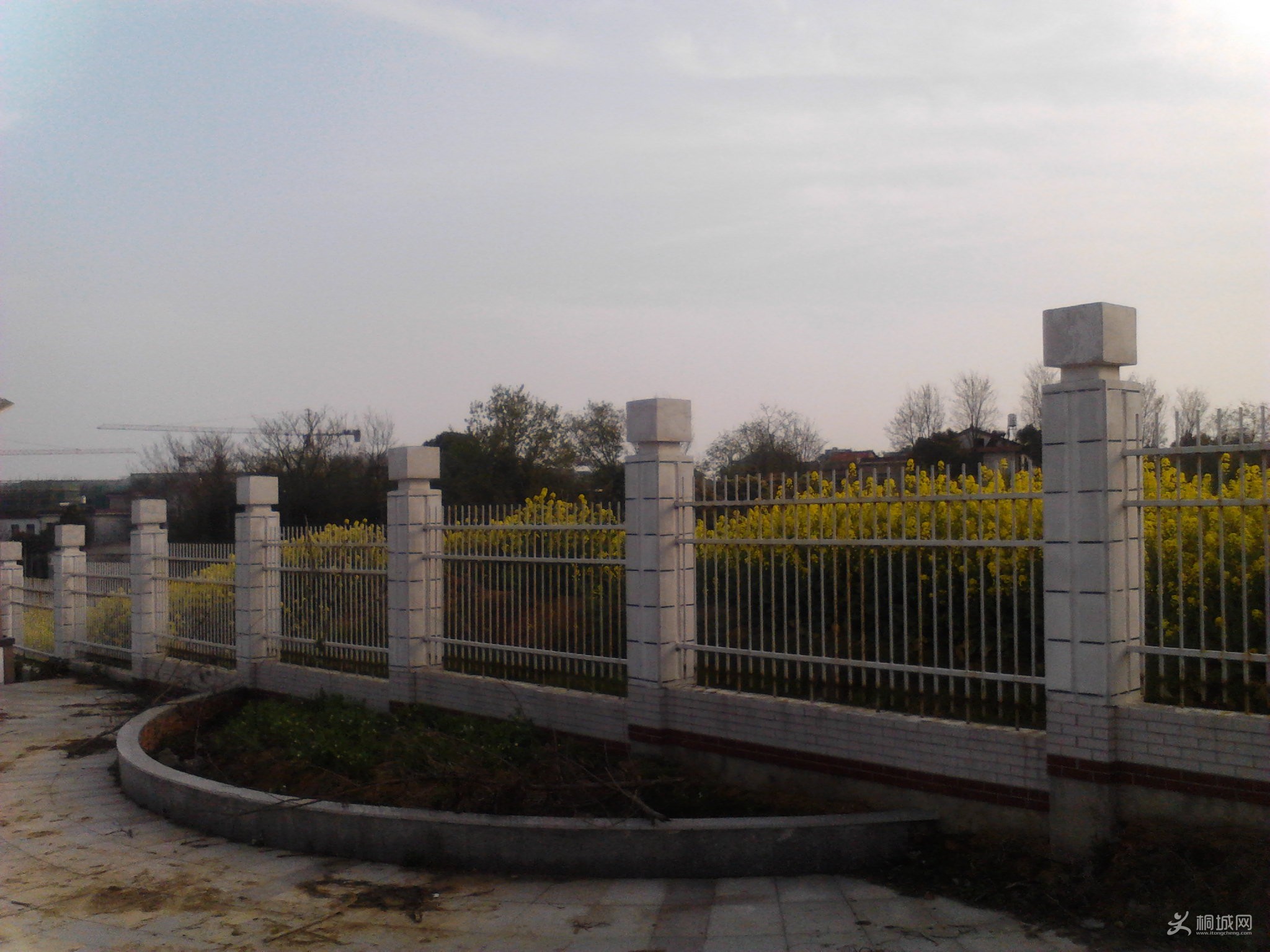 Camera_20130331_164530.jpg